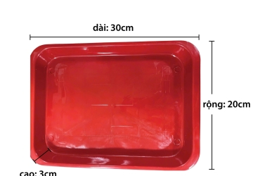 Gia Công – Sản Xuất Khay Nhựa Tại TP.HCM | Khuôn Mẫu Nhựa Thành Phát