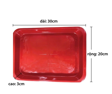 Gia Công – Sản Xuất Khay Nhựa Tại TP.HCM | Khuôn Mẫu Nhựa Thành Phát